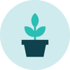 Talivity-Webpages-InnoLab-Graphics-Icon-Incubation